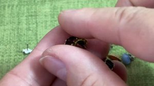 НОВЫЕ НАХОДК. 6 часть. ПОХВАЛЬБУШКИ. @Larisa Tabashnikova. 6/10/22
