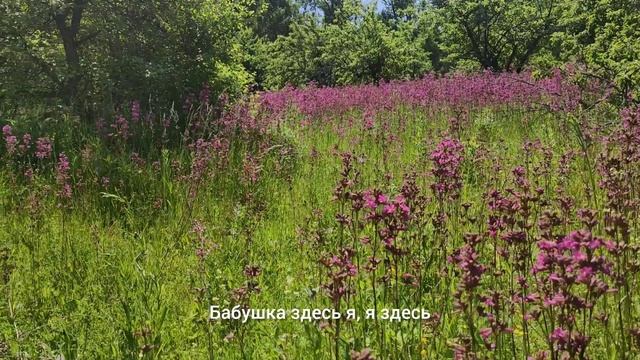 Стихотворение "Бабушке". Авторское прочтение.