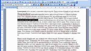 17. Word 2003. Форматирование, размер шрифта, виды подчеркивания.