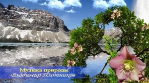 Музыка природы. Музыка Владимира Плотникова. Записана мной в 2012 году