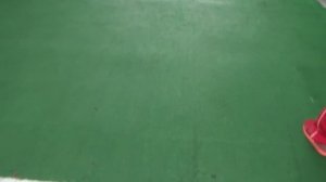 ВЛОГ Встретили знаменитость ! ИРИНУ ОРТМАН случайно !!! МИЛИ ВАНИЛИ и МИМИ ЛИССА