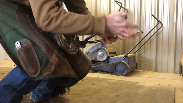 Routine Trim on a Friesian Stallion смотреть онлайн