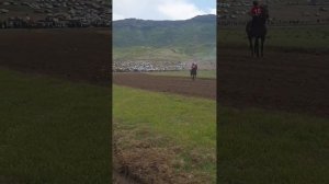 Скачки в с.Новый Кумух Респ Дагестан