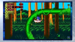 Baby Sunky- Adult Sunky- Giant Sunky