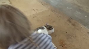 ВЛОГ Едем в гости к друзьям и в наш сад