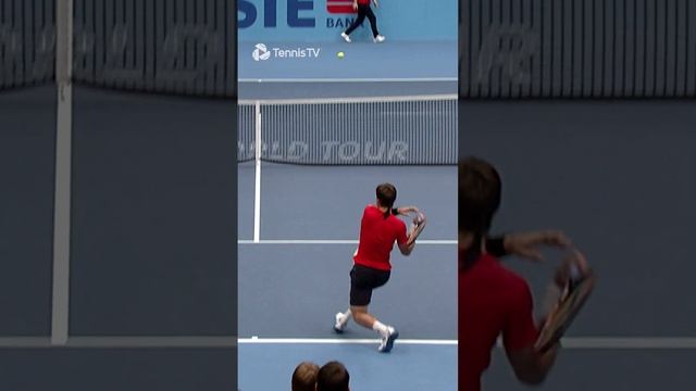 Murray CRAZY Backhand Flick vs Ferrer