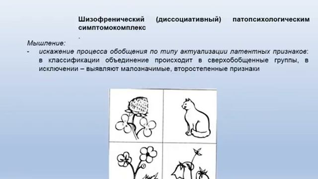 Шизофрения и аффективные расстройства