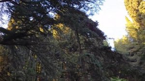 🏝Вы не поверите! Алушта. Отель "Море", сезон купания открыт! 31 марта.