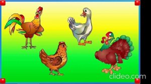 Интерактивная игра.mp4