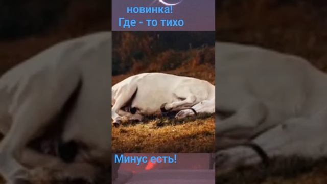 Новая авторская работа, минус есть!