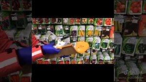 Тапенер .Степлер для подвязки растений  Степлер Титан