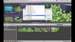 iMovie Video Tutorials - Save to your Computer