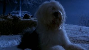 Круэлла 2021-Не то, чего вы ждёте-Обзор фильма