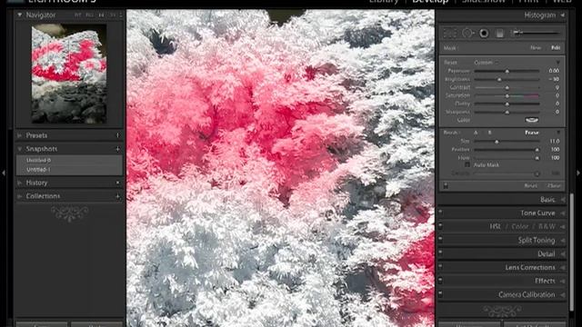 Dodging and burning a landscape photo with Lightroom смотреть онлайн