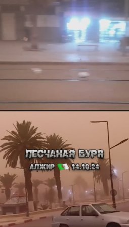 То наводнение, то засуха - песчаная буря в Алжире, 14 октября 2024