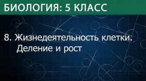 Биология 5 класс: Жизнедеятельность клетки, её деление и рост