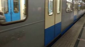 поезд метро "Ока"