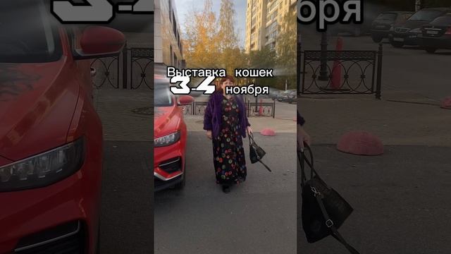 Успей подать заявку на выставку кошек в
Экспофорум