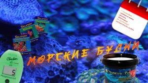 Еженедельное обслуживание аквариума