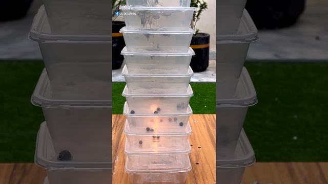 Experiment 1000°C RHCB vs Disposable boxes 😱#satisfying #experiment #science #rhcb #asmr
