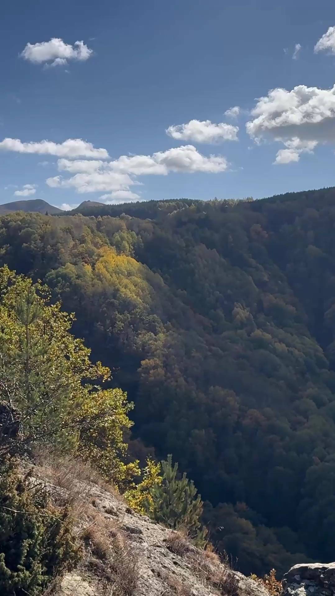 Моё любимое место кисловодского парка