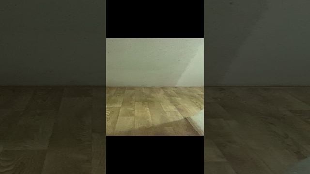 Сдается 1комн квартира в Кошелев парке