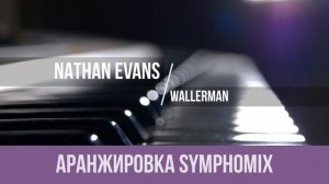 Nathan Evans - Wallerman (Sea Shanty)|АРАНЖИРОВКА|МИНУС|КАРАОКЕ