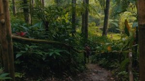 Rumah Kita - Motioncam Pro RAW Video/4K UHD Full Sensor