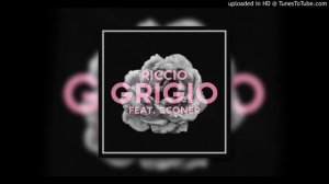 Riccio ft Sconer - Grigio (audio)