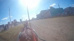 Двигаем хлыстом#рысак #horse #кони #лошади #бега#ипподромблаговещенск