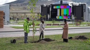 Как звезды озеленяли Крым