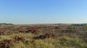 Поле аэродрома Дракино