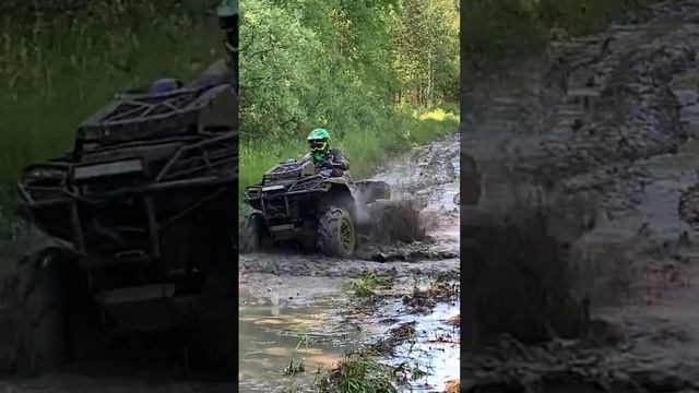 Suzuki Kingquad тащит на заднем приводе