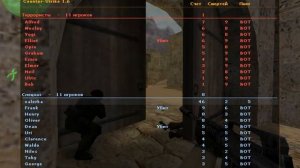 Игра в контр страйк 1.6 с ботами).