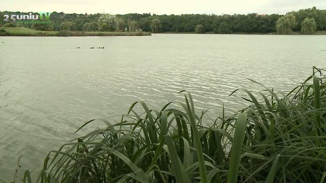 Conference About Water Quality Assessment Methods