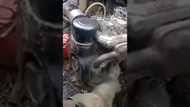 Дизельный двигатель Ruggerini смотреть онлайн