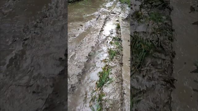 Вперёд за хабаром!