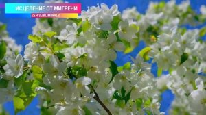 Исцеление от мигрени, ВСД, панических атак. Избавление от головной боли (RELAX version).