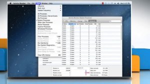 How to use the Activity Monitor in Mac® OS X™