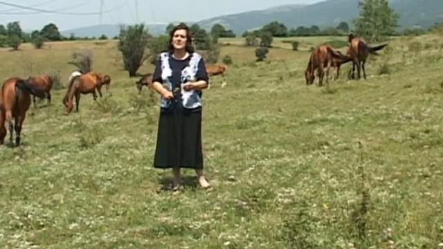 POŠLA TROJANKA NA VODU смотреть онлайн