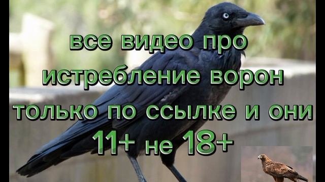 !!!Важное про истребление!!!