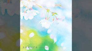 sakura