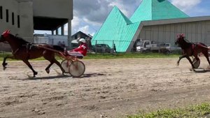 Соревнования на Благовещенском ипподроме #кони #бега#рысаки
