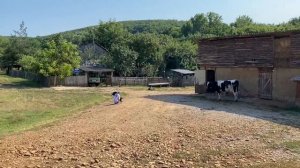 ВЛОГ Что творится у нас во дворе! ВЕЗДЕ артефакты Алисы! Едем кататься на лошадях! Хороший день!