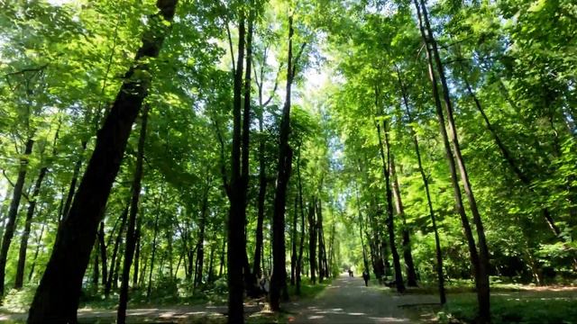 5 вёрст (ex parkrun) г. Москва ВДНХ (Парк Останкино 08.06.2024)