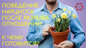 Как расстаются нарциссы? Что точно будет делать нарцисс после расставания? К чему готовится?