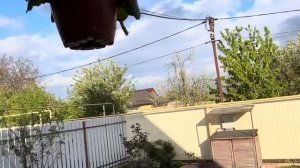 VLOG Мы дома ! Едем в гости к маме!