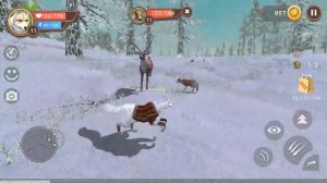 WildCraft #3. Симулятор волка. Прохождение. Симулятор жизни хивотных онлайн
