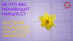 За что вас ненавидят нарциссы? Образ мысли всех нарциссов (и мужчин и женщин). Система координат.