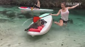 Лучшие Приколы 2024 Действительно Плохой День